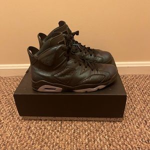 Jordan “all star” (chameleon) retro 6s size 10.5